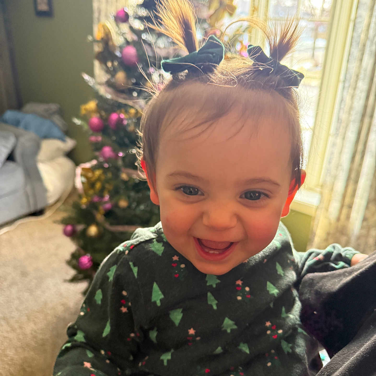 Sidney joined the competition — help win amazing prizes! accessories, architecture, baby, building, couch, face, fir, furniture, happy, head, indoors, livingroom, person, photography, plant, portrait, pottedplant, room, smile, tree