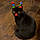 Spooky Girl