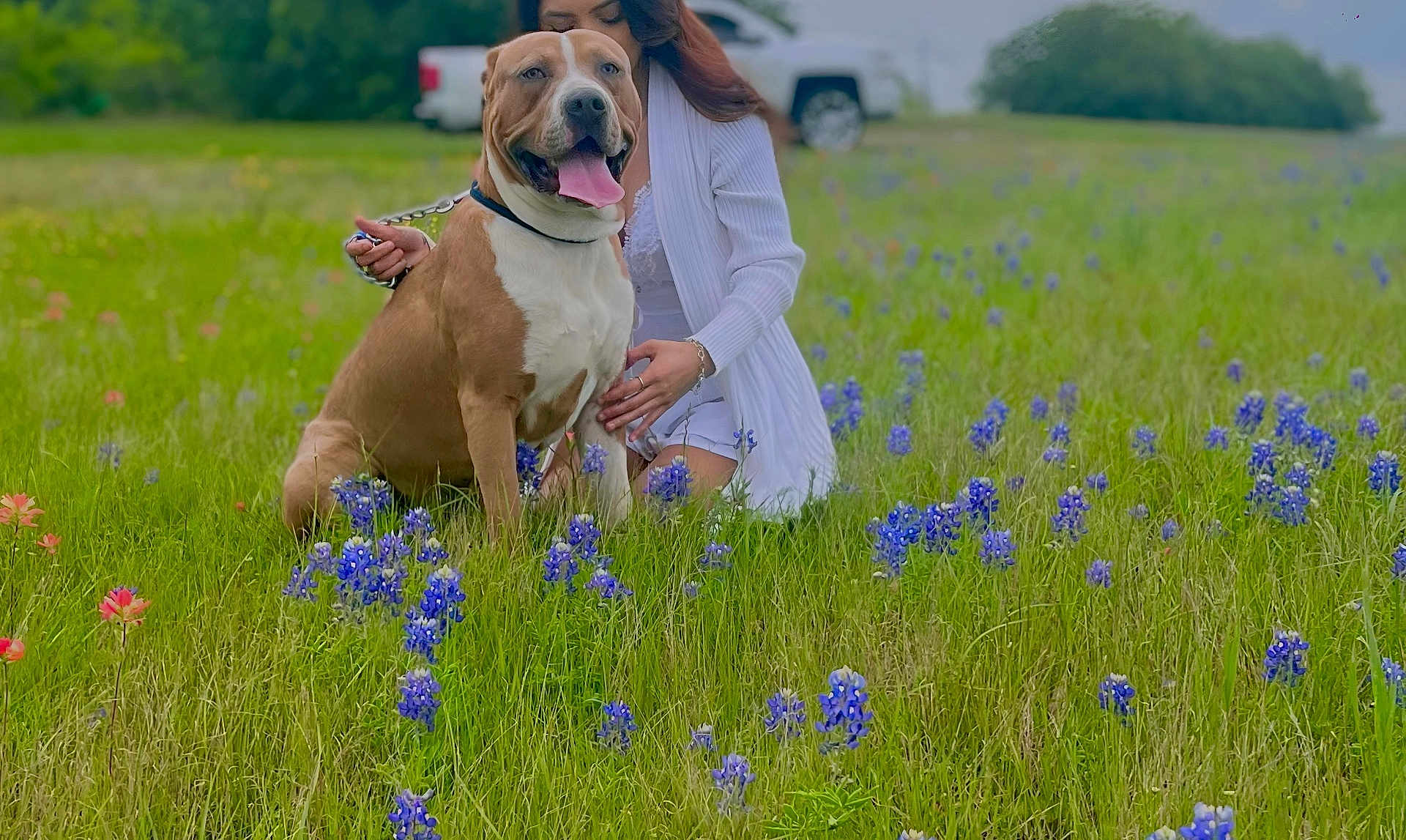 Zeus joined the competition — help win amazing prizes! dog, person, flower, grass, outdoor, nature, field, wildflower, happy, pet, leash, animal, greenery, casual_clothing, smile, summer, daytime, crouching, park, canine