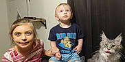 Ichabod is registered to the contest to win money with this photo: child, children, cat, cat_tree, indoor, curtain, hat, shelf, furniture, smile, tongue_out, shorts, tshirt, patterned_clothing, hair, barefoot, playful, pet, family, home