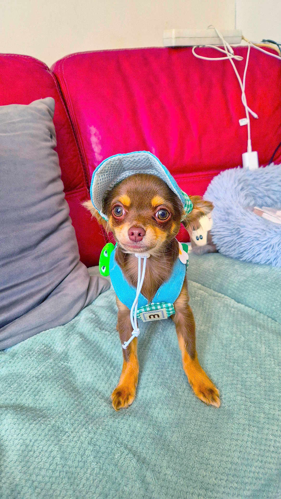 Snoop