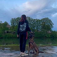 Némésis participe au concours pour gagner de l'argent avec cette photo : animal, calm, canine, cloudy_sky, dog, evening, footwear, interaction, landscape, leisure, mud, nature, outdoor, person, pet, reflection, river, sportswear, trees, water