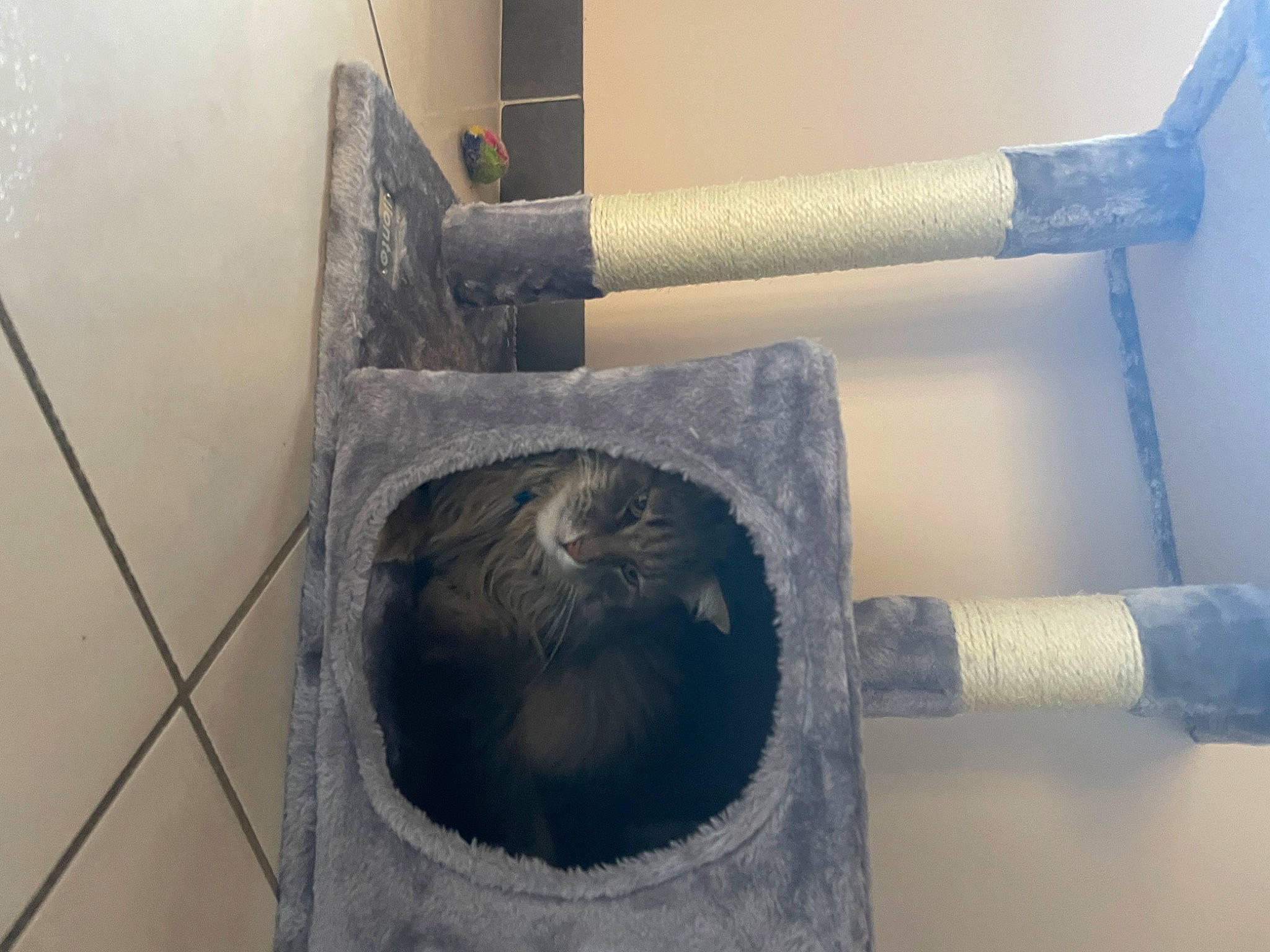 Bobo participe au concours pour gagner de l'argent avec cette photo : automotive_tire, circle, concrete, cylinder, drainage, flooring, gas, metal, paper_towel, pipe, plumbing, plumbing_fitting, plumbing_fixture, room, wood