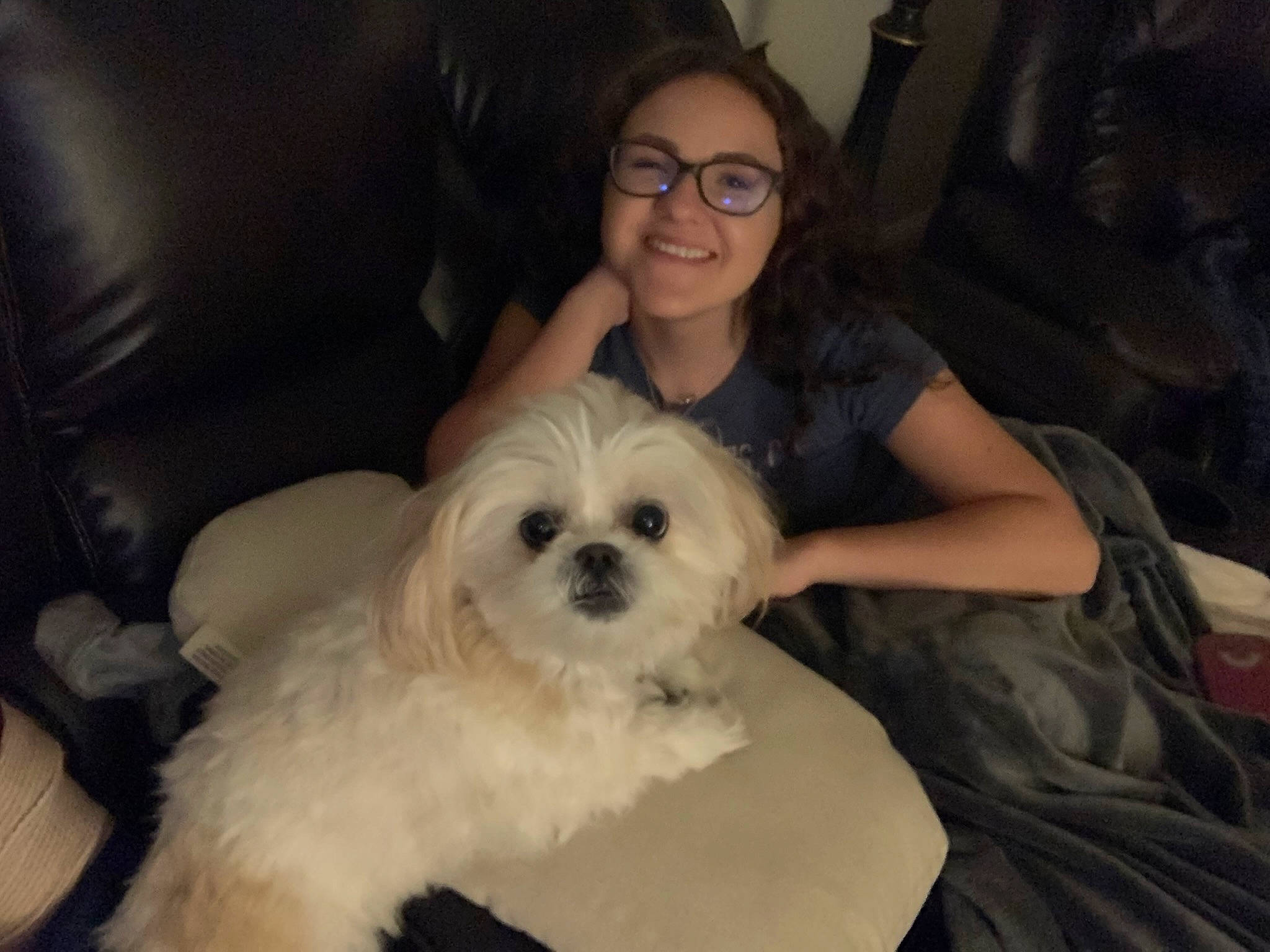 Sadie is registered to the contest to win money with this photo: canidae, carnivore, comfort, companion_dog, couch, dog, dog_breed, event, eye, eyewear, fur, glasses, iris, shih_poo, smile, snout, sporting_group, terrier, toy_dog, vision_care