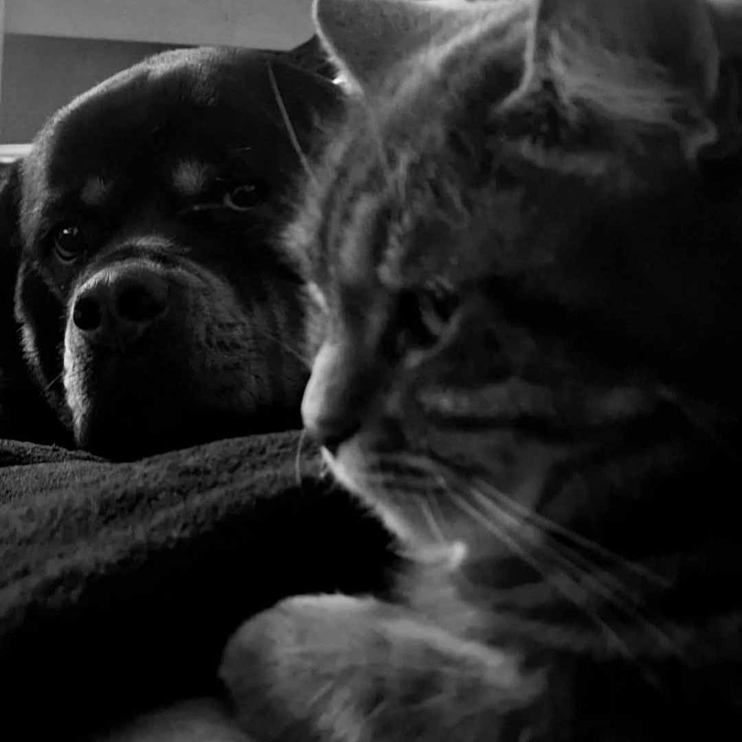 Roxy
