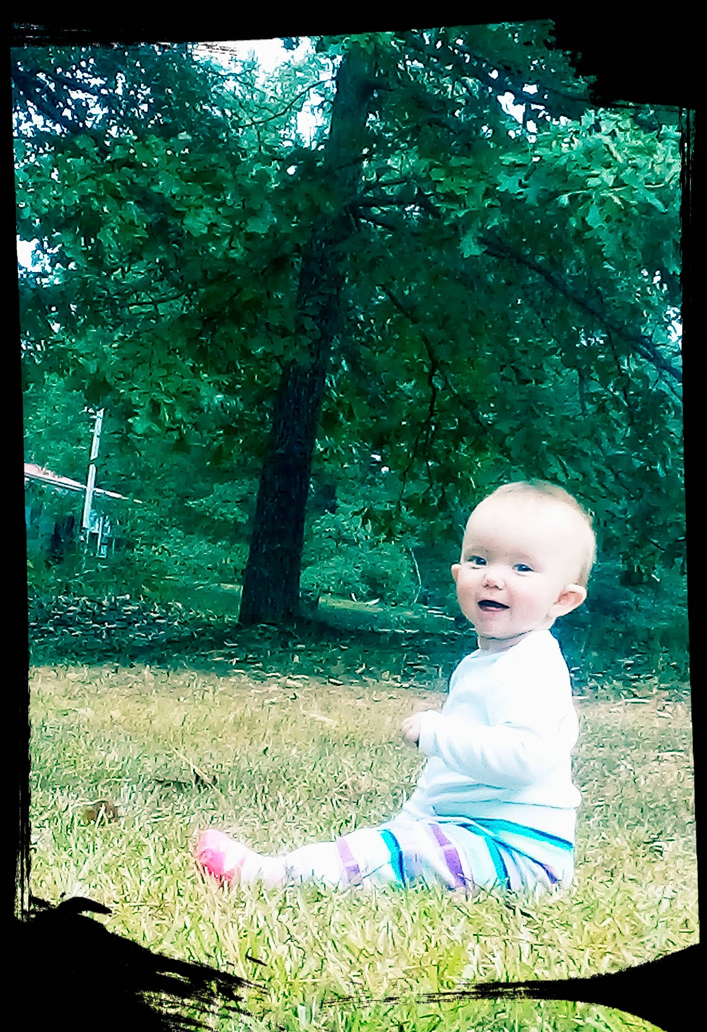 Tara joined the competition — help win amazing prizes! adaptation, child, forest, grass, green, leaf, nature, people_in_nature, person, photograph, photography, plant, sitting, spring, stock_photography, sunlight, tints_and_shades, toddler, tree, woodland