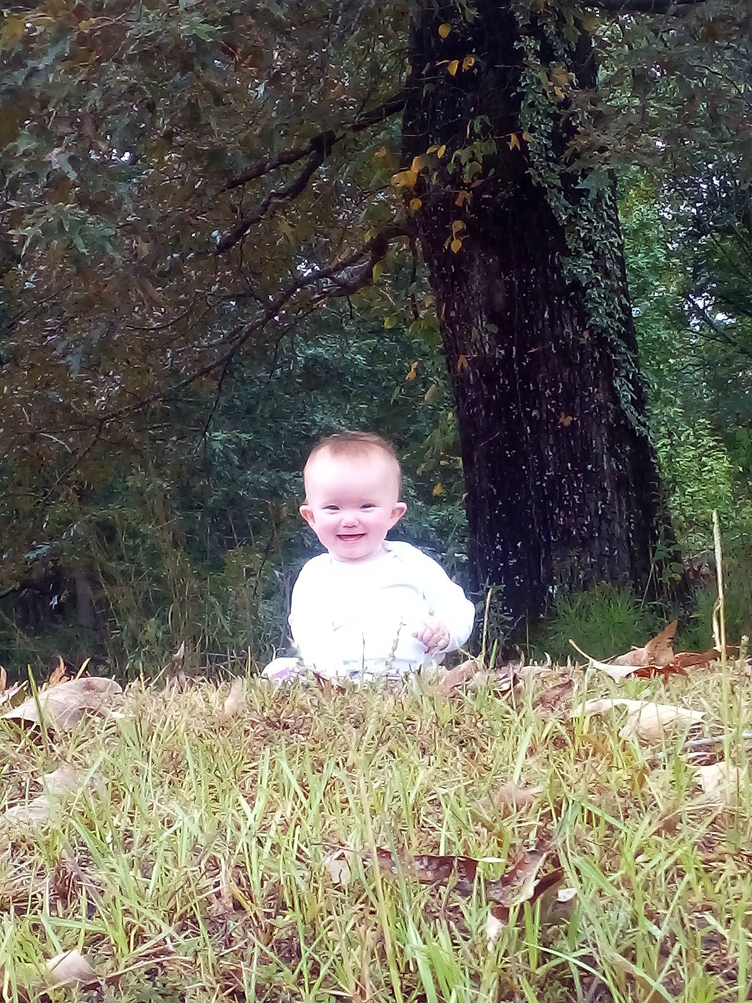 Tara is registered to the contest to win money with this photo: branch, child, forest, grass, grass_family, joy, leaf, people_in_nature, person, photograph, photography, plant, sitting, smile, spring, toddler, tree, wood, woodland, woody_plant