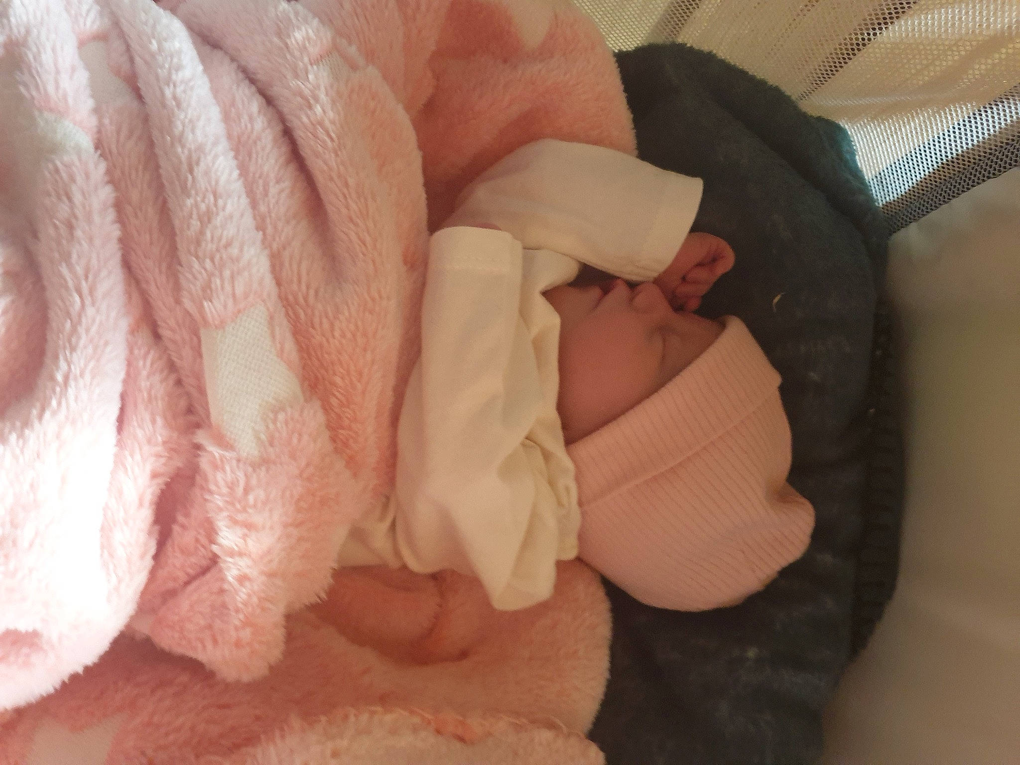 Valentine participe au concours pour gagner de l'argent avec cette photo : baby, child, close_up, comfort, cuisine, fashion_accessory, fur, fur_clothing, gesture, hand, headwear, linens, nail, peach, person, petal, sleeve, sweetness, thumb, toddler