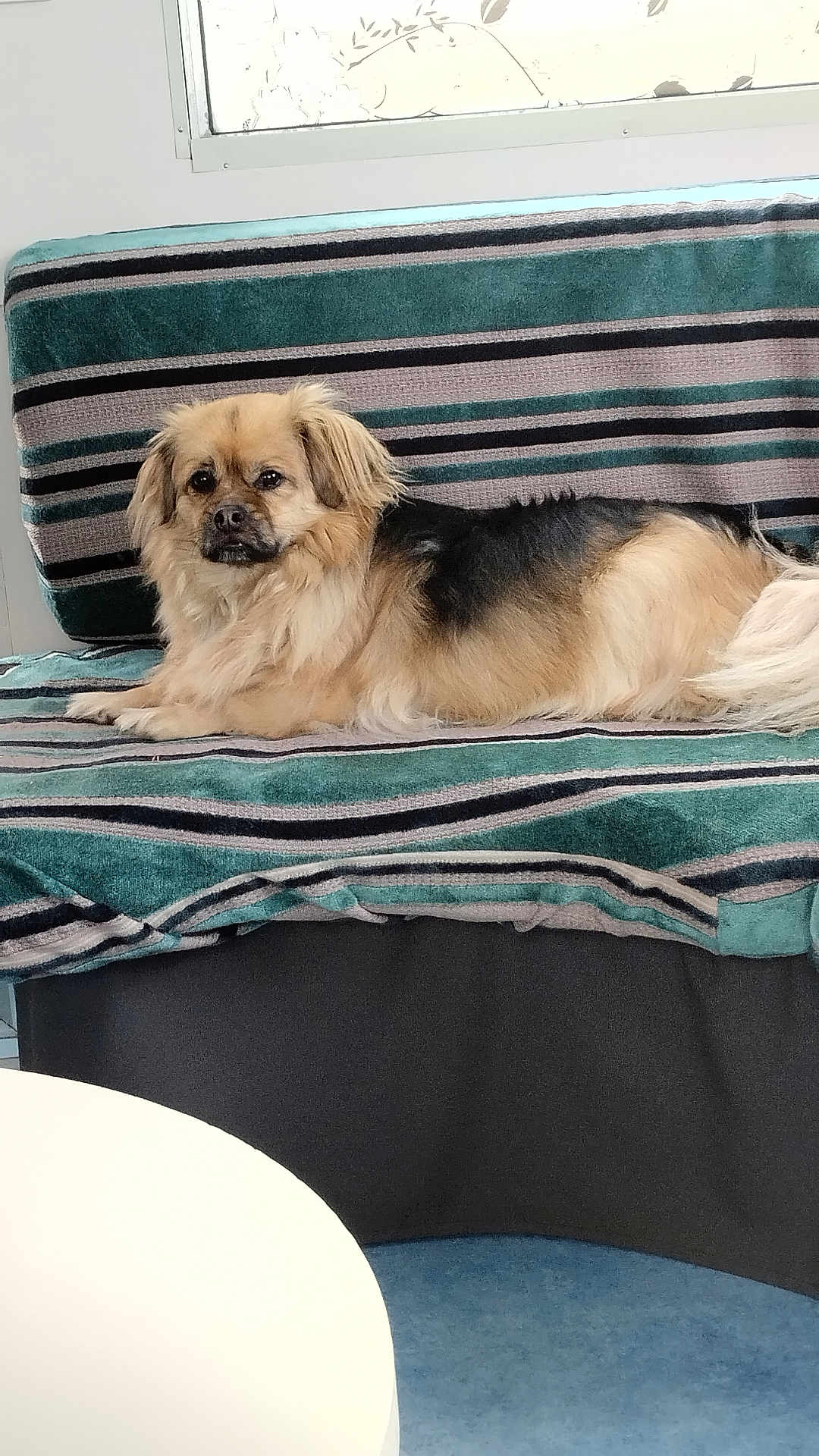 Bandit