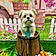 Bruno