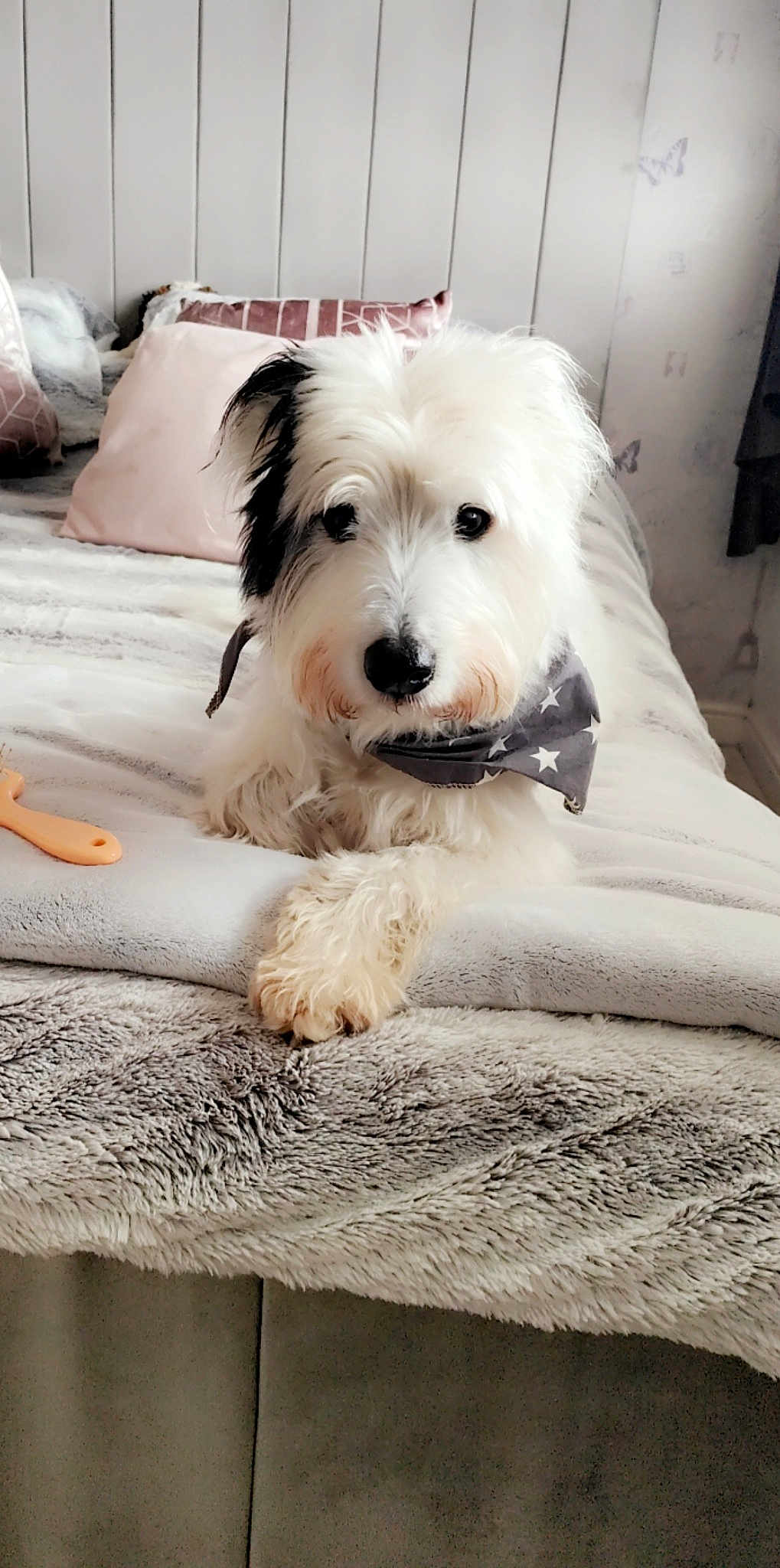 Oscar