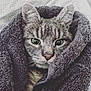 Prince participe au concours pour gagner de l'argent avec cette photo : cat, tabby, animal, pet, fur, eyes, whiskers, ears, towel, cozy, closeup, indoor, cute, snug, soft, texture, resting, portrait, gray, comfort
