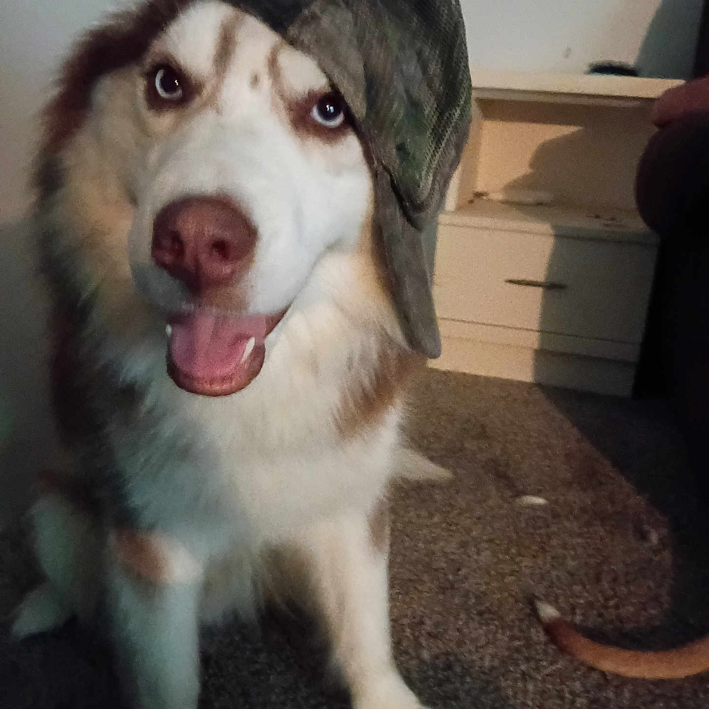 Thor