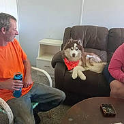Thor joined the competition — help win amazing prizes! dog, husky, bandana, couch, man, orange_shirt, jeans, water_bottle, indoor, carpet, table, furniture, relaxed, seated, brown_couch, casual, pet, animal, people, room
