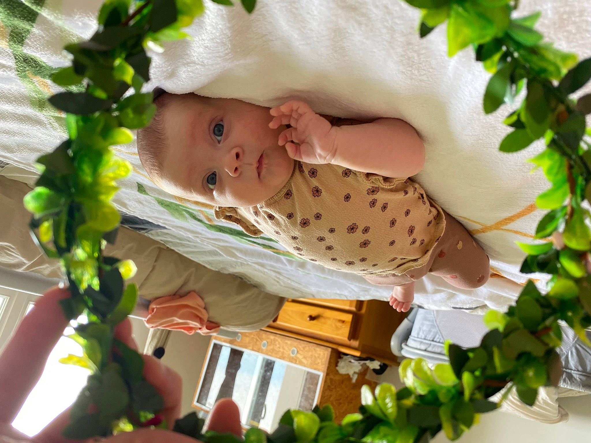 Jodie a rejoint le concours — aidez-le/la à gagner de superbes lots ! baby, baby_products, baby_safety, baby_toddler_clothing, botany, branch, child, comfort, fashion_accessory, grass, happy, human_body, leaf, organism, pattern, people_in_nature, person, plant, sleeve, toddler