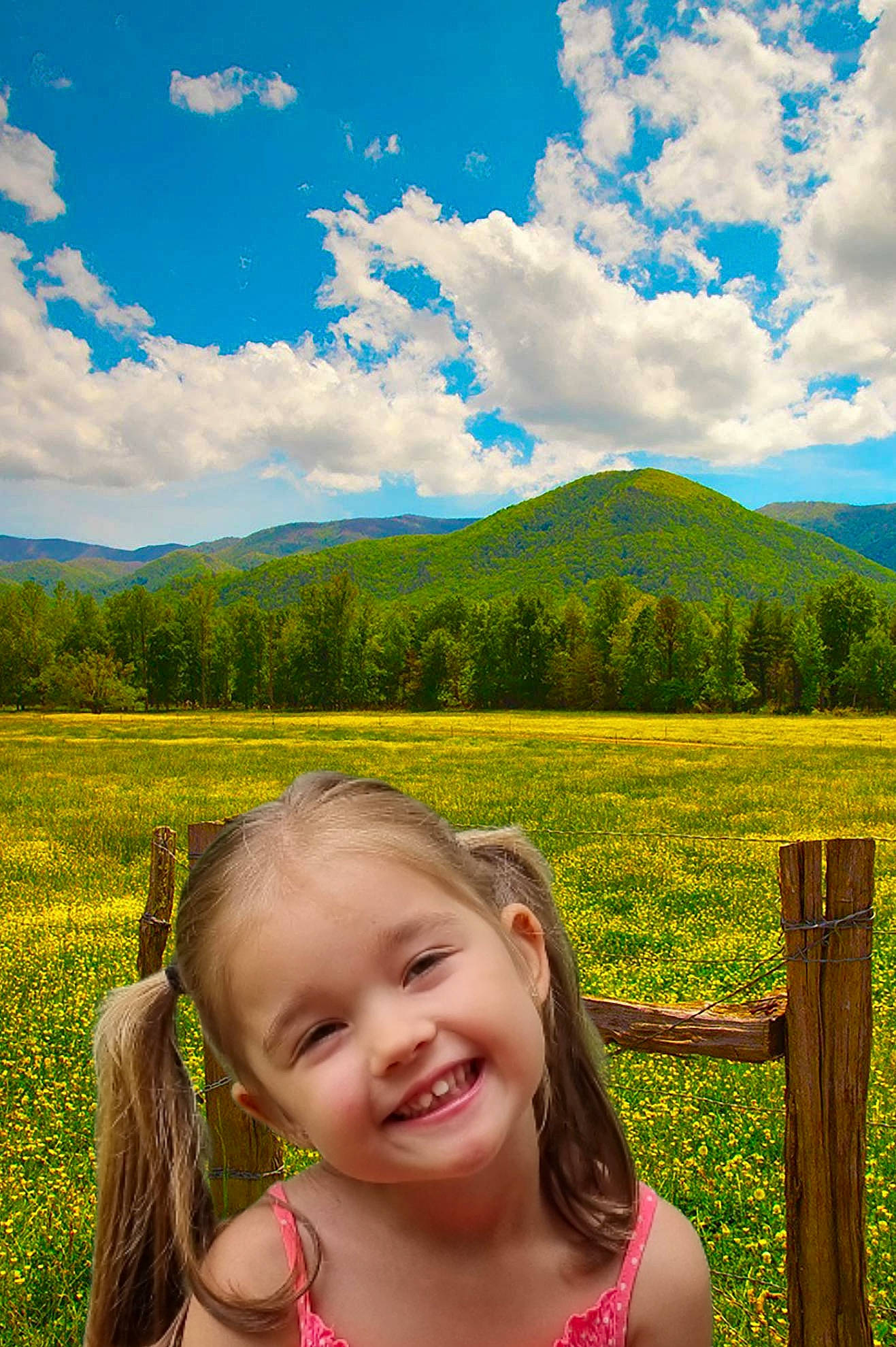 Kelya participe au concours pour gagner de l'argent avec cette photo : cloud, cumulus, fence, grass, green, happy, head, joy, light, mountain, natural_landscape, people_in_nature, person, plain, plant, sky, smile, summer, sunlight, toddler