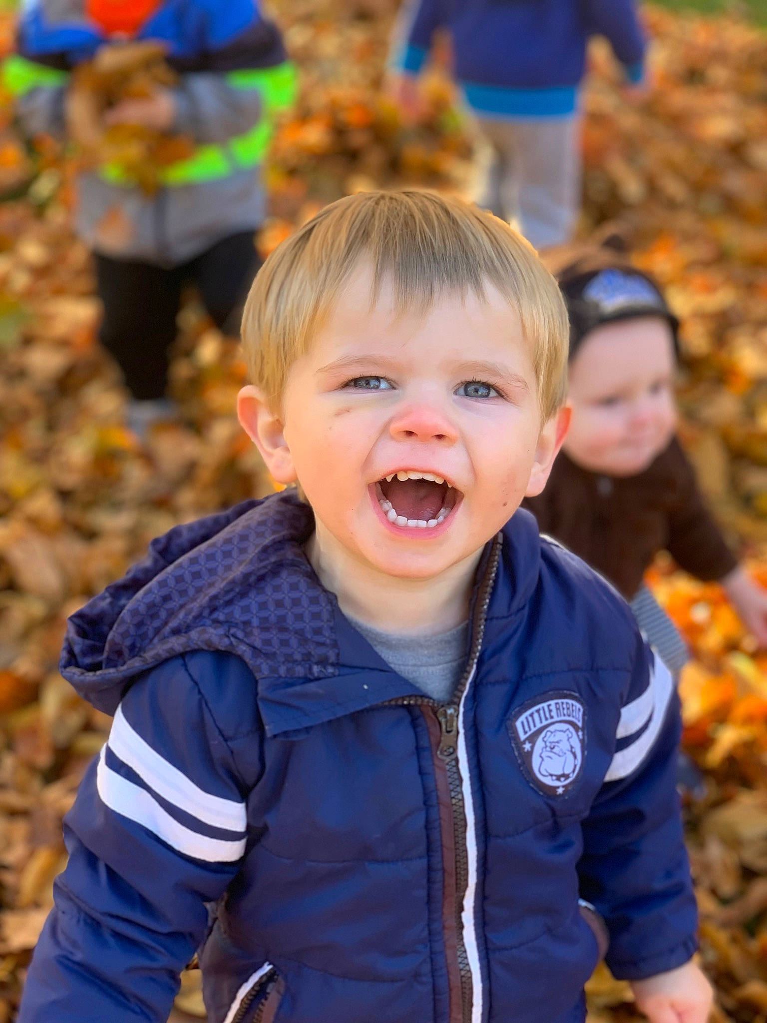 Blake is registered to the contest to win money with this photo: blurred, child, event, fun, gesture, grass, happy, laugh, leaf, leisure, orange, people_in_nature, person, plant, play, recreation, sitting, smile, soil, toddler