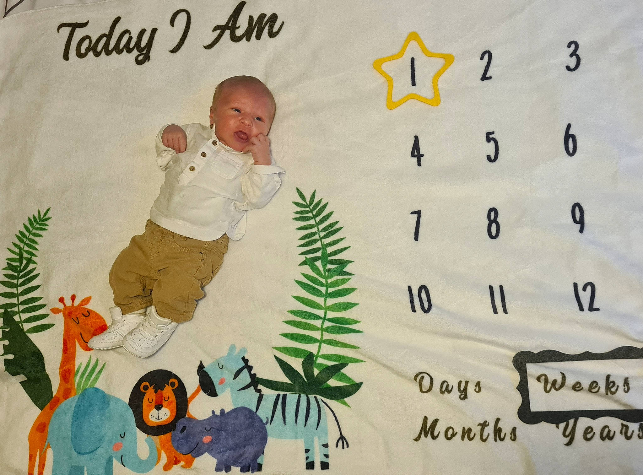 Giuliano participe au concours pour gagner de l'argent avec cette photo : adaptation, art, baby, child, christmas_eve, event, evergreen, fictional_character, font, handwriting, happy, illustration, leaf, mammal, organism, pattern, people_in_nature, person, plant, product