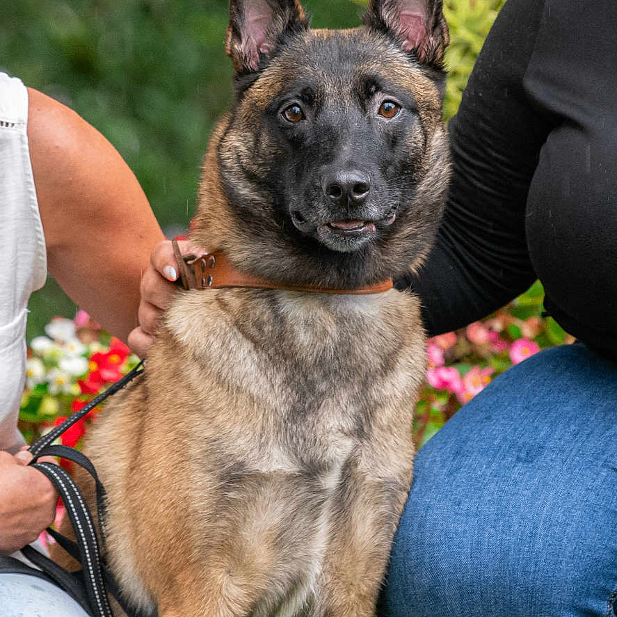 Shyra