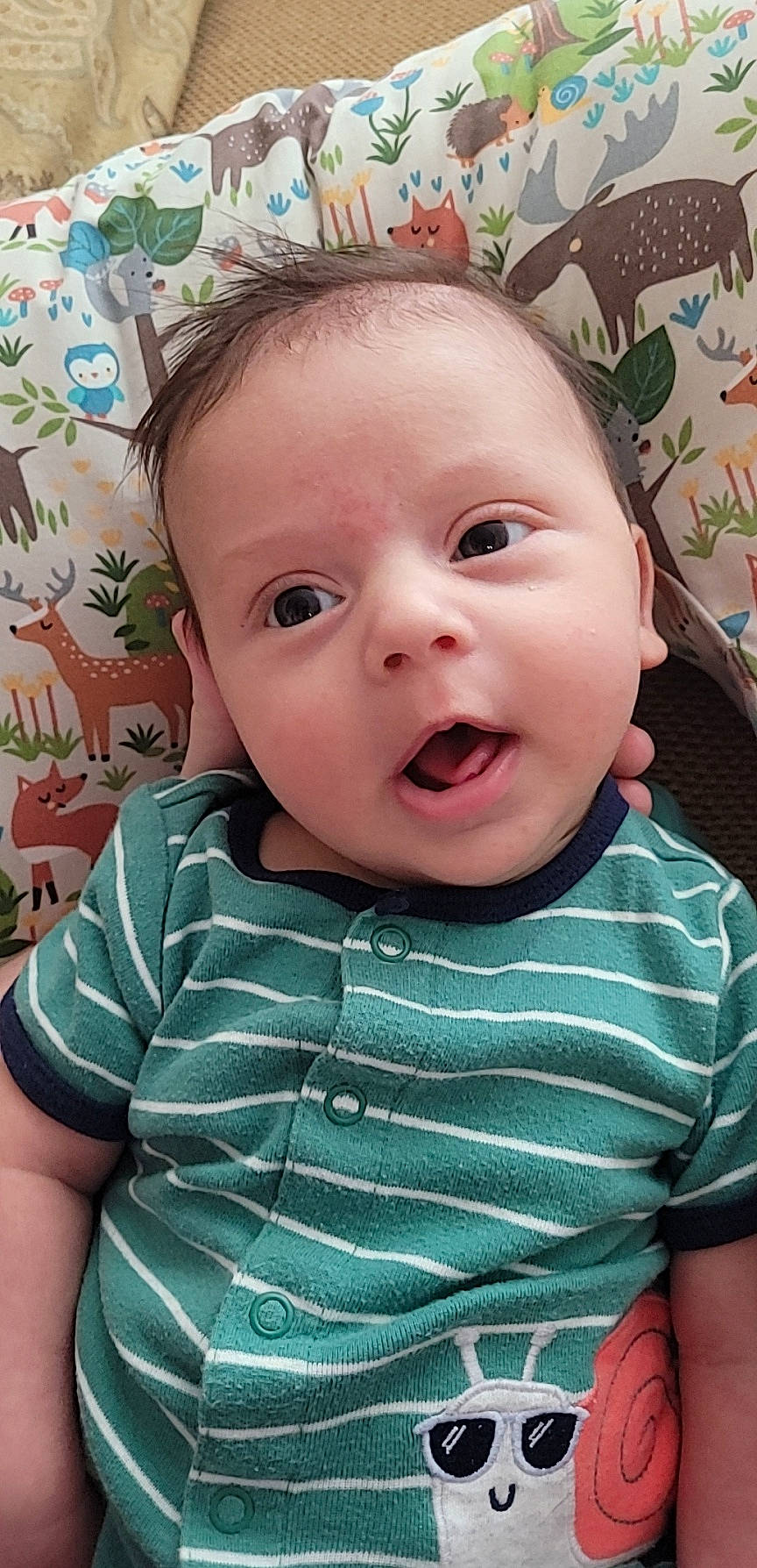 Fletcher is registered to the contest to win money with this photo: baby, baby_toddler_clothing, cheek, child, eye, eyelash, fun, grass, happy, head, iris, lip, mouth, nose, organ, person, pink, skin, sleeve, surprise