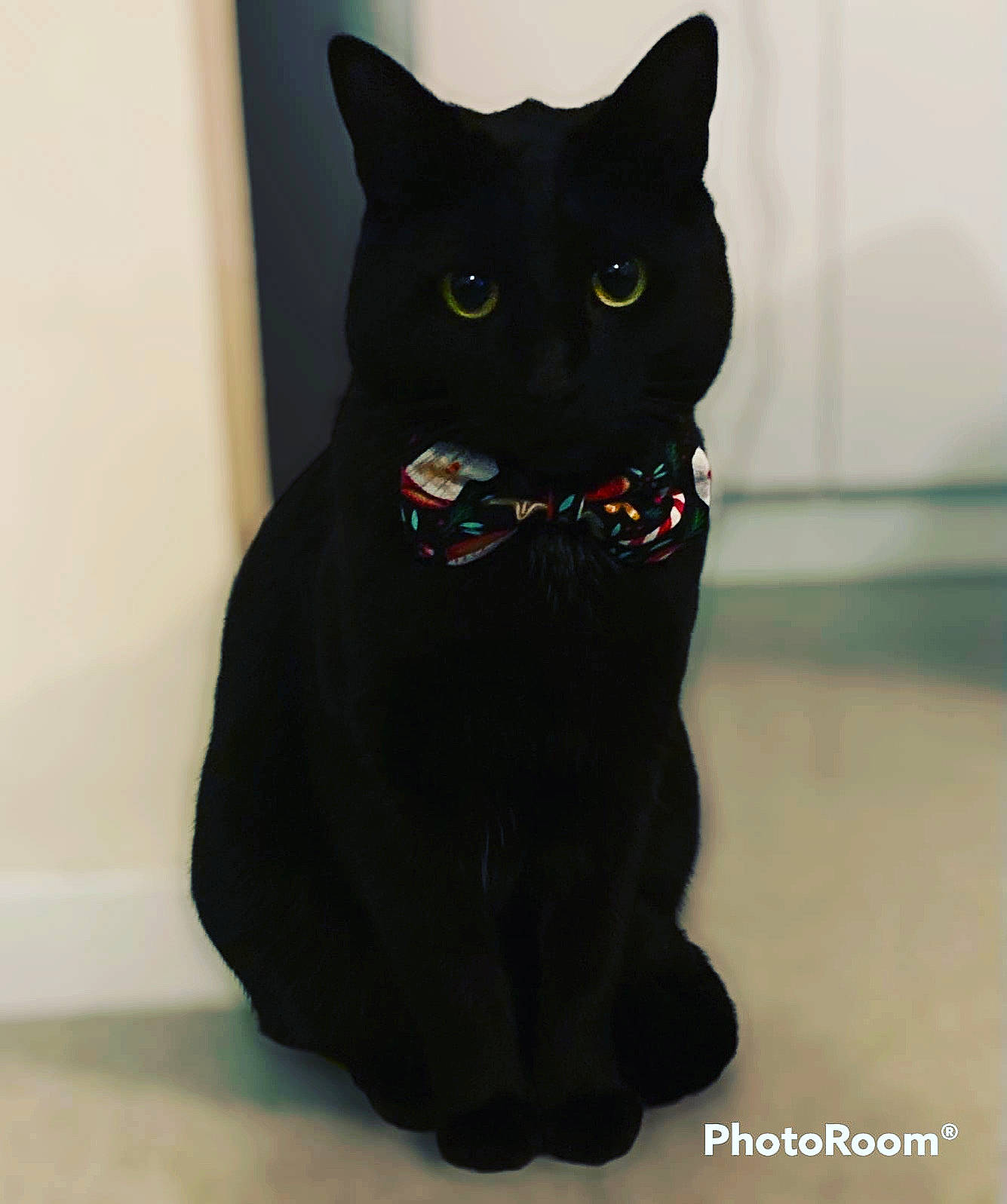 Sirius a rejoint le concours — aidez-le/la à gagner de superbes lots ! art, black_cat, bombay, carnivore, cat, domestic_short_haired_cat, felidae, fur, grey, sculpture, small_to_medium_sized_cats, snout, tail, whiskers