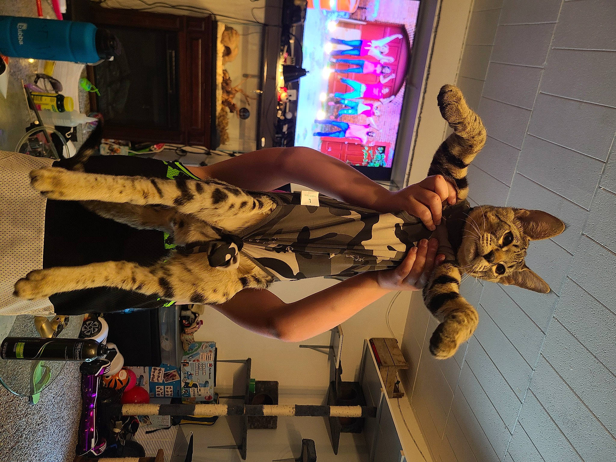 Rafiki joined the competition — help win amazing prizes! adventure, art, boot, carmine, costume, fashion_design, flesh, flooring, fun, human_leg, leg, machine, military_camouflage, room, sandal, sneakers, thigh, tree, visual_arts, wood