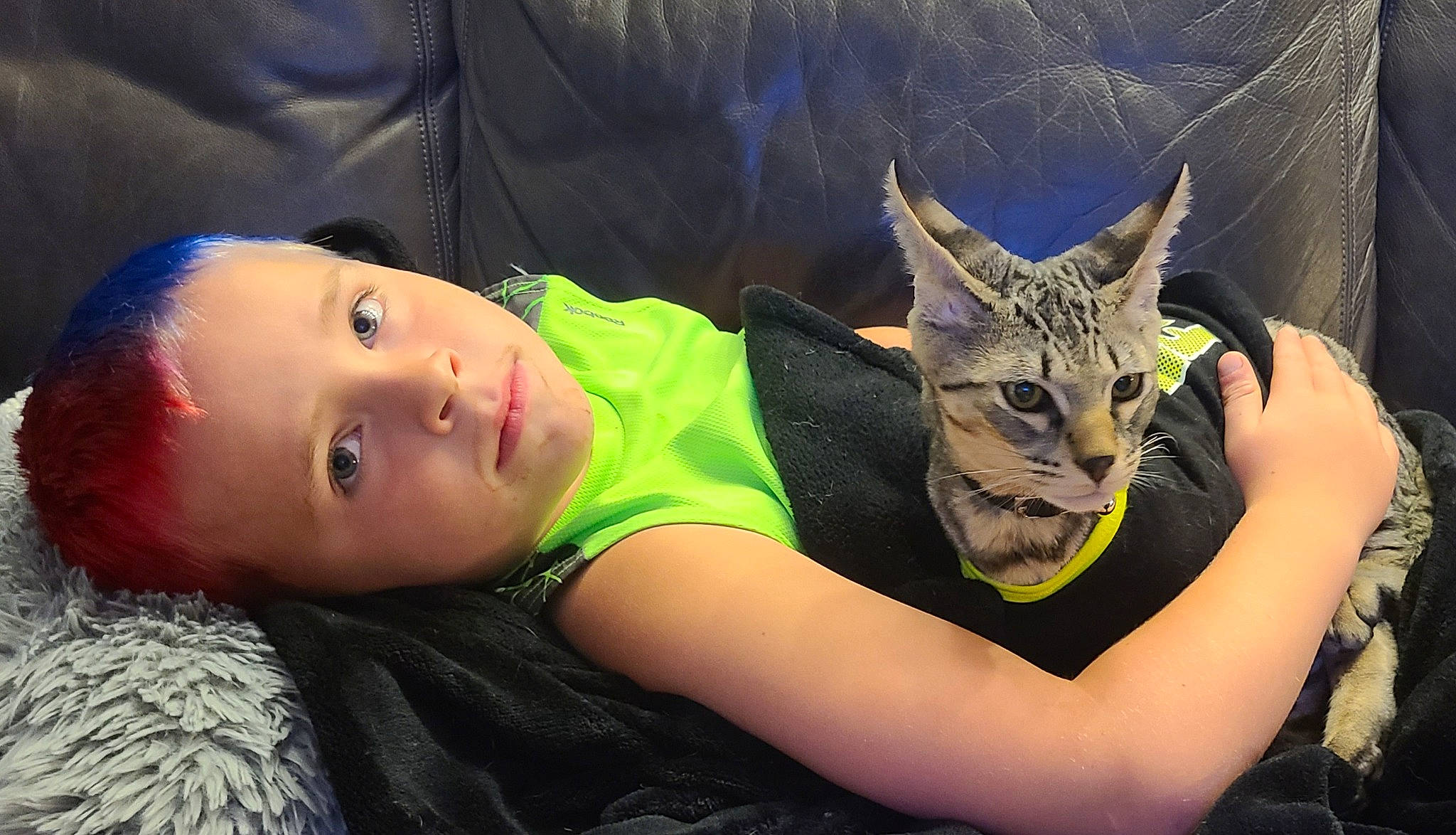 Rafiki is registered to the contest to win money with this photo: baby, carnivore, cat, cool, couch, fashion_accessory, felidae, flash_photography, fun, gesture, glasses, grass, hand, happy, human_body, plant, thigh, toddler, tree, whiskers