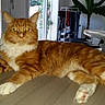 Jasper participe au concours pour gagner de l'argent avec cette photo :