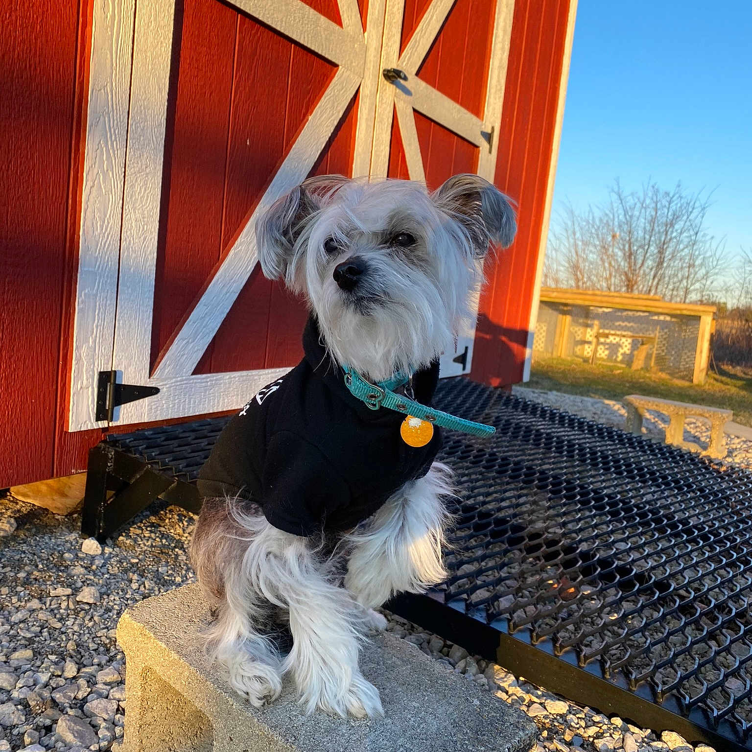 Teeka