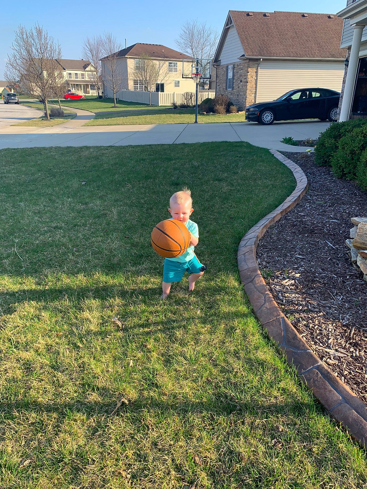 Aidan is registered to the contest to win money with this photo: asphalt, backyard, driveway, garden, grass, grass_family, home, house, landscape, landscaping, lawn, person, plant, residential_area, soil, toddler, tree, yard