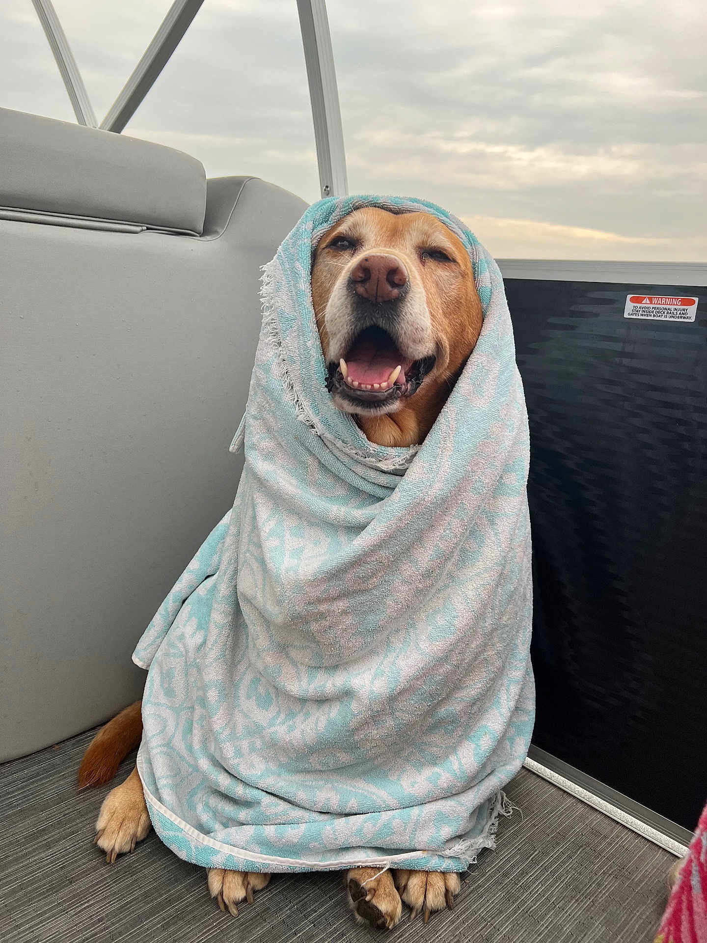 Ginger joined the competition — help win amazing prizes! dog, towel, boat, deck, paw, happy, smiling, wrapped, blanket, water, cloudy_sky, seat, nautical, pet, canine, portrait, muzzle, fur, tongue, cozy
