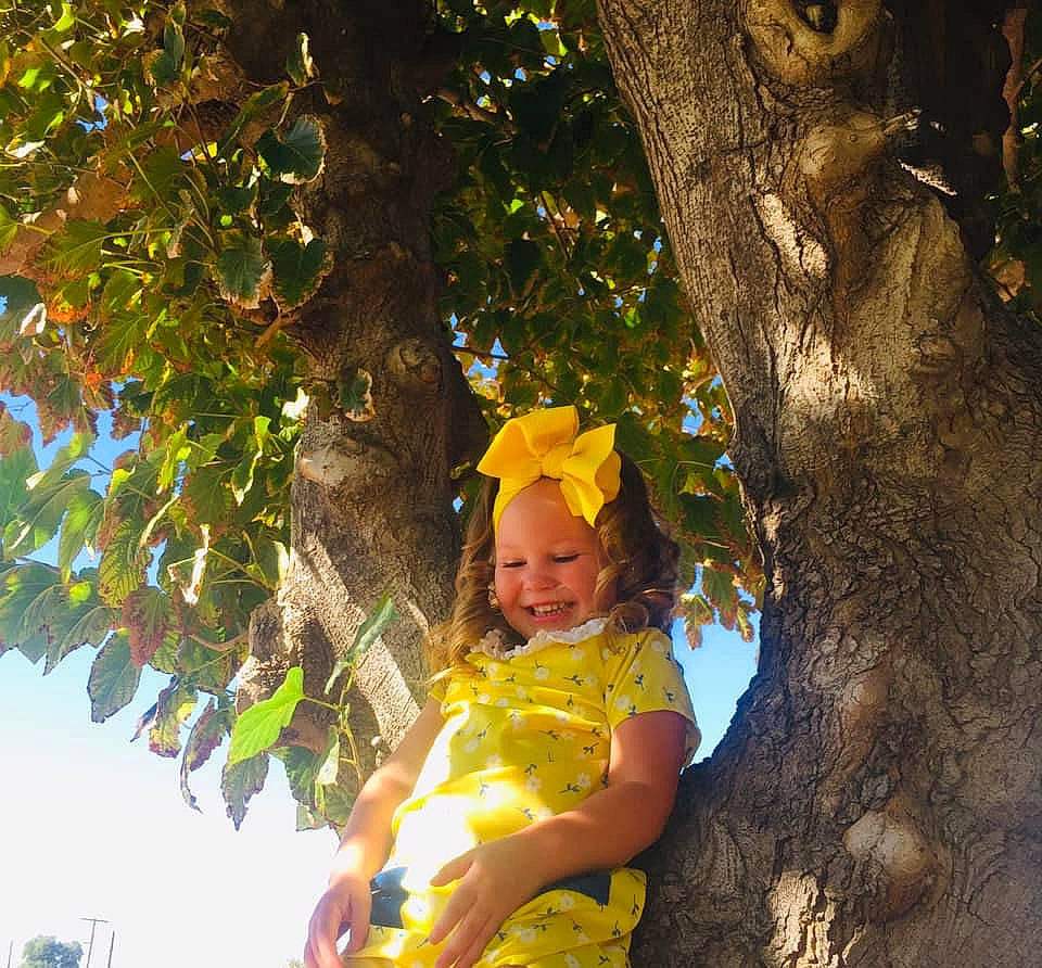 Brooklynn joined the competition — help win amazing prizes! branch, child, fun, joy, person, photography, plant, smile, sunlight, toddler, tree, trunk, woody_plant, yellow