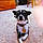 Frieda