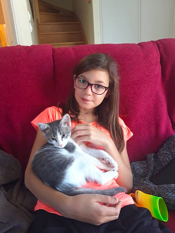 Kally a rejoint le concours — aidez-le/la à gagner de superbes lots ! brown_hair, carnivore, cat, comfort, couch, domestic_short_haired_cat, felidae, fur, glasses, human, interior_design, lap, living_room, mammal, nail, person, sitting, small_to_medium_sized_cats, vertebrate, whiskers