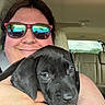 animal, black_dog, car_interior, closeup, cute, daylight, dog, face, hand, leather_seat, person, pet, portrait, puppy, reflection, seat, selfie, smile, sunglasses, window