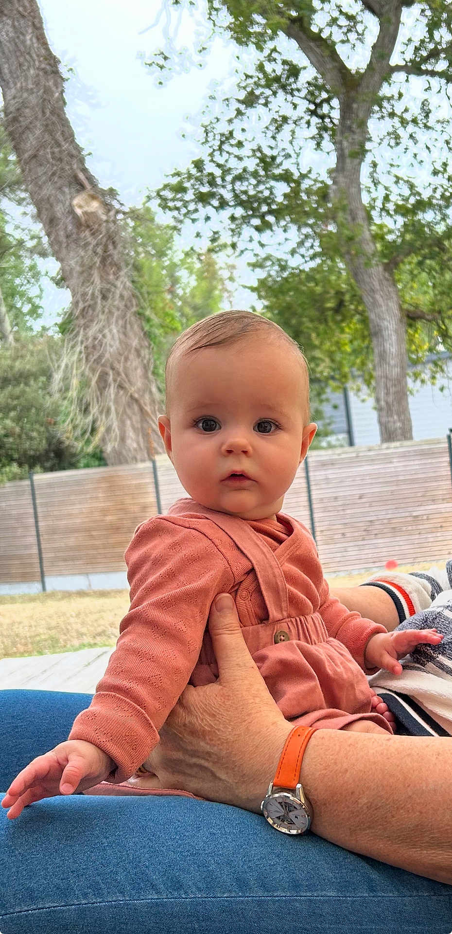 Ambre a rejoint le concours — aidez-le/la à gagner de superbes lots ! baby, child, person, face, hand, clothing, outdoor, tree, fence, watch, jeans, nature, skin, adult_hand, sitting, portrait, expression, curious, daylight, casual