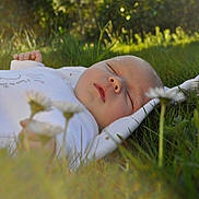 Julien a rejoint le concours — aidez-le/la à gagner de superbes lots ! baby, blanket, closeup, daisy, face, flower, grass, greenery, infant, nature, outdoor, peaceful, portrait, relaxation, resting, serene, sleeping, soft, sunlight, young_child