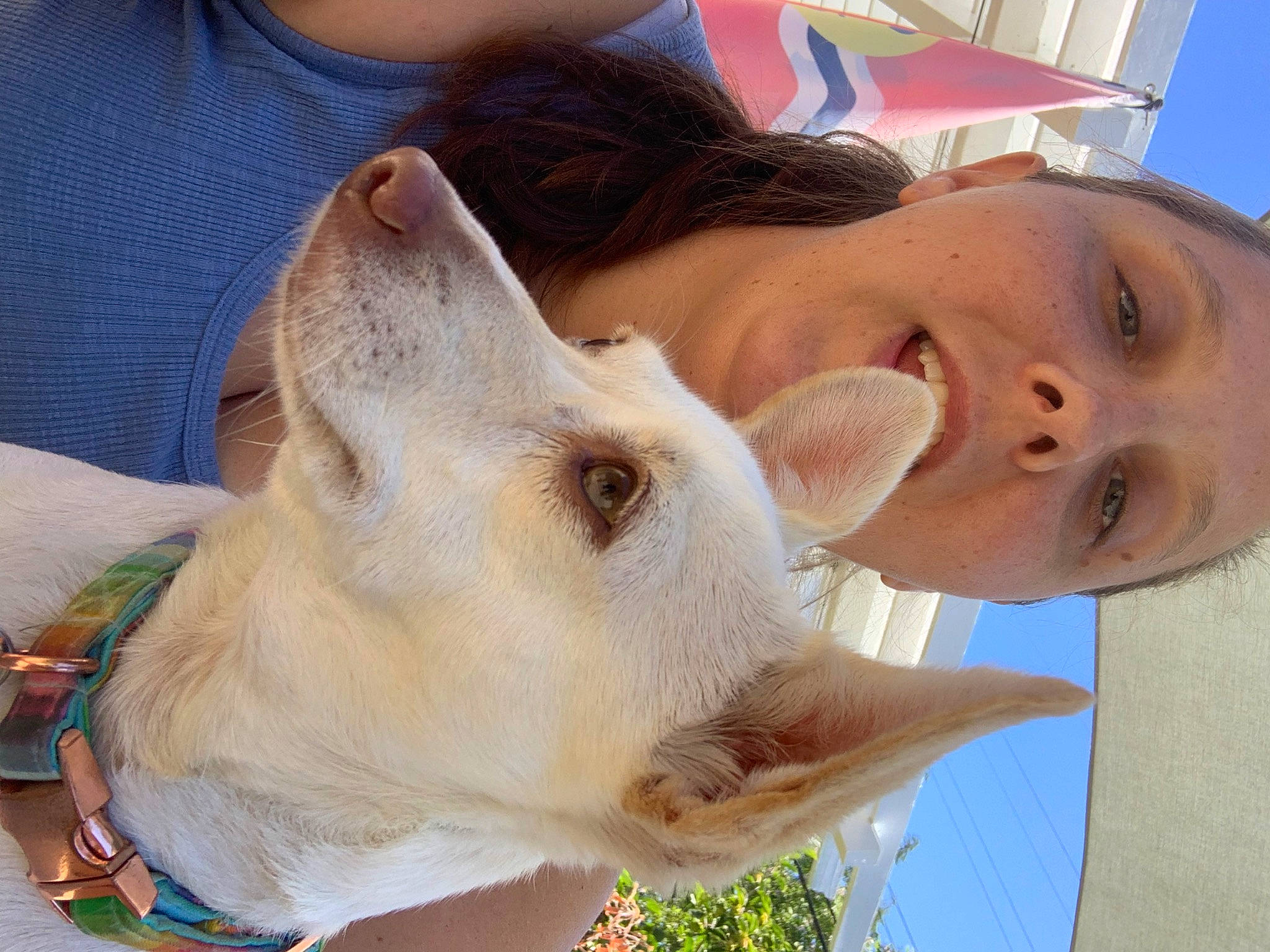 Lady Gaga joined the competition — help win amazing prizes! ear, eyelash, fawn, fun, fur, gesture, grass, happy, jaw, livestock, nose, selfie, sky, snout, wildlife, working_animal