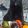 animal, autumn, basket, black_cat, cat, colorful, curious, decorative, domestic_cat, fall, food, fruit, gourds, household, indoor, kitchen, pet, still_life, table, tongue_out