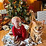 baby, infant, pacifier, red_clothing, cat, orange_tabby, blanket, christmas_tree, christmas_decorations, presents, wooden_floor, holiday, festive, indoor, pet, animal, cute, holiday_spirit, toddler, cozy