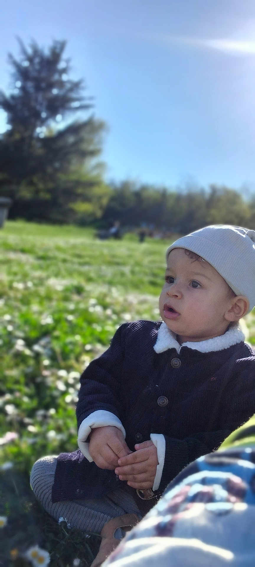 Isaac participe au concours pour gagner de l'argent avec cette photo : toddler, child, outdoor, grass, flowers, beanie, jacket, sunlight, nature, park, curious, sitting, daytime, greenery, portrait, young_child, casual_clothing, expression, person, scenic