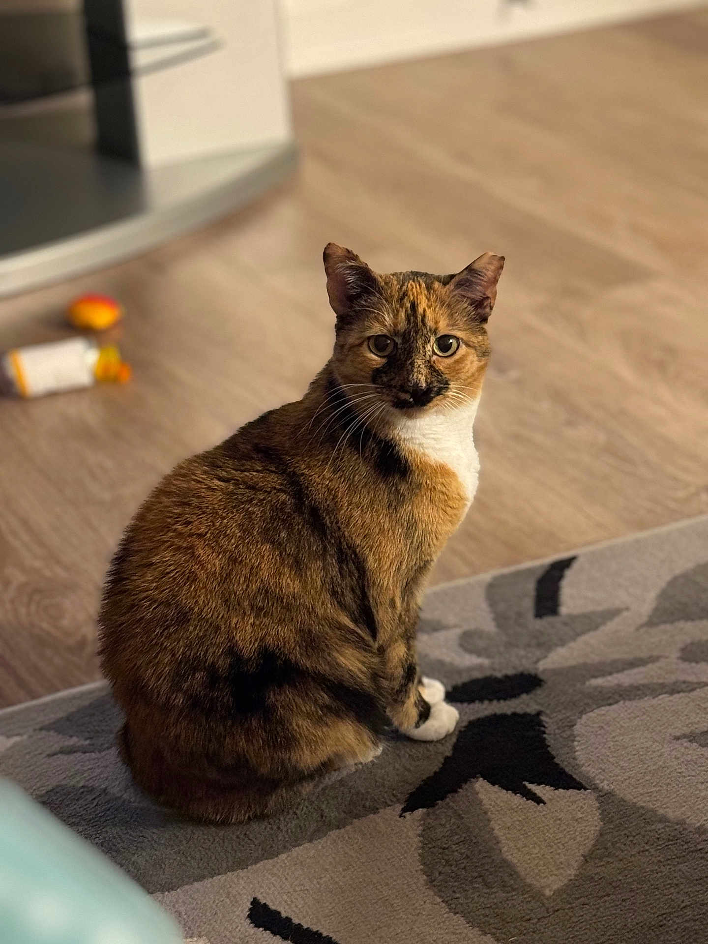 Emmy