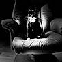 cat, tuxedo_cat, black_and_white, leather_chair, indoor, pet, animal, sitting, portrait, feline, whiskers, furniture, floor, lighting, shadow, closeup, domestic_cat, chair, eye_contact, monochrome