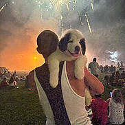 Cressyn Lilly joined the competition — help win amazing prizes! person, puppy, dog, fireworks, night, outdoor, crowd, grass, celebration, festival, smoke, light, shoulder, tank_top, happy, pet, event, relaxation, fun, companionship