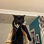 black_cat, cat, pet, indoor, bow_tie, fashion, hands, sweater, yellow_eyes, feline, portrait, person, wall_art, doorway, decor, animal, house, cozy, holding, serious_expression