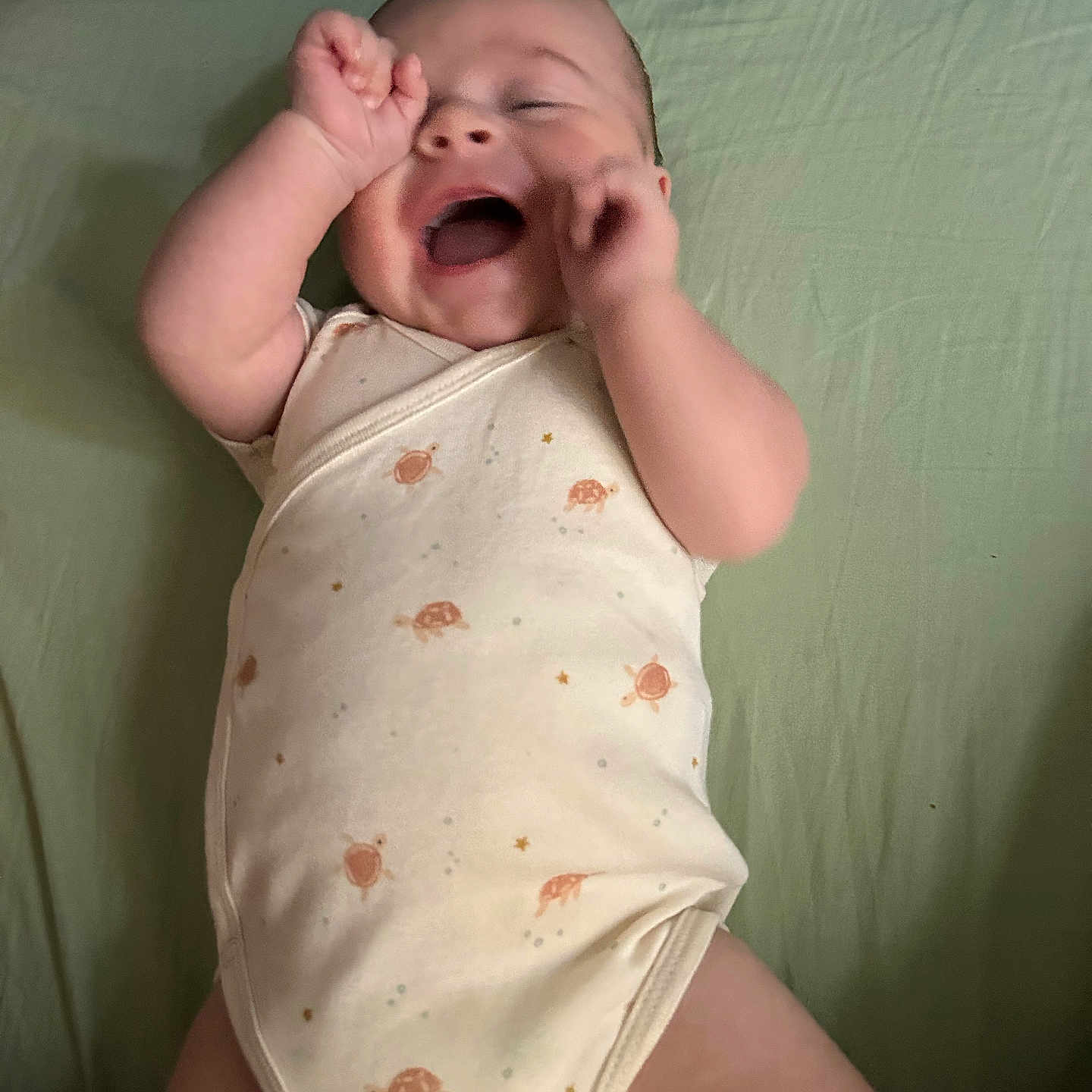 Antoine Roche a rejoint le concours — aidez-le/la à gagner de superbes lots ! arms_up, baby, child, closeup, cute, face, green_bed_sheet, happy, indoors, infant, joyful, laughing, lying_down, onesie, person, sleepwear, smiling, soft_lighting, turtle_print, young_child