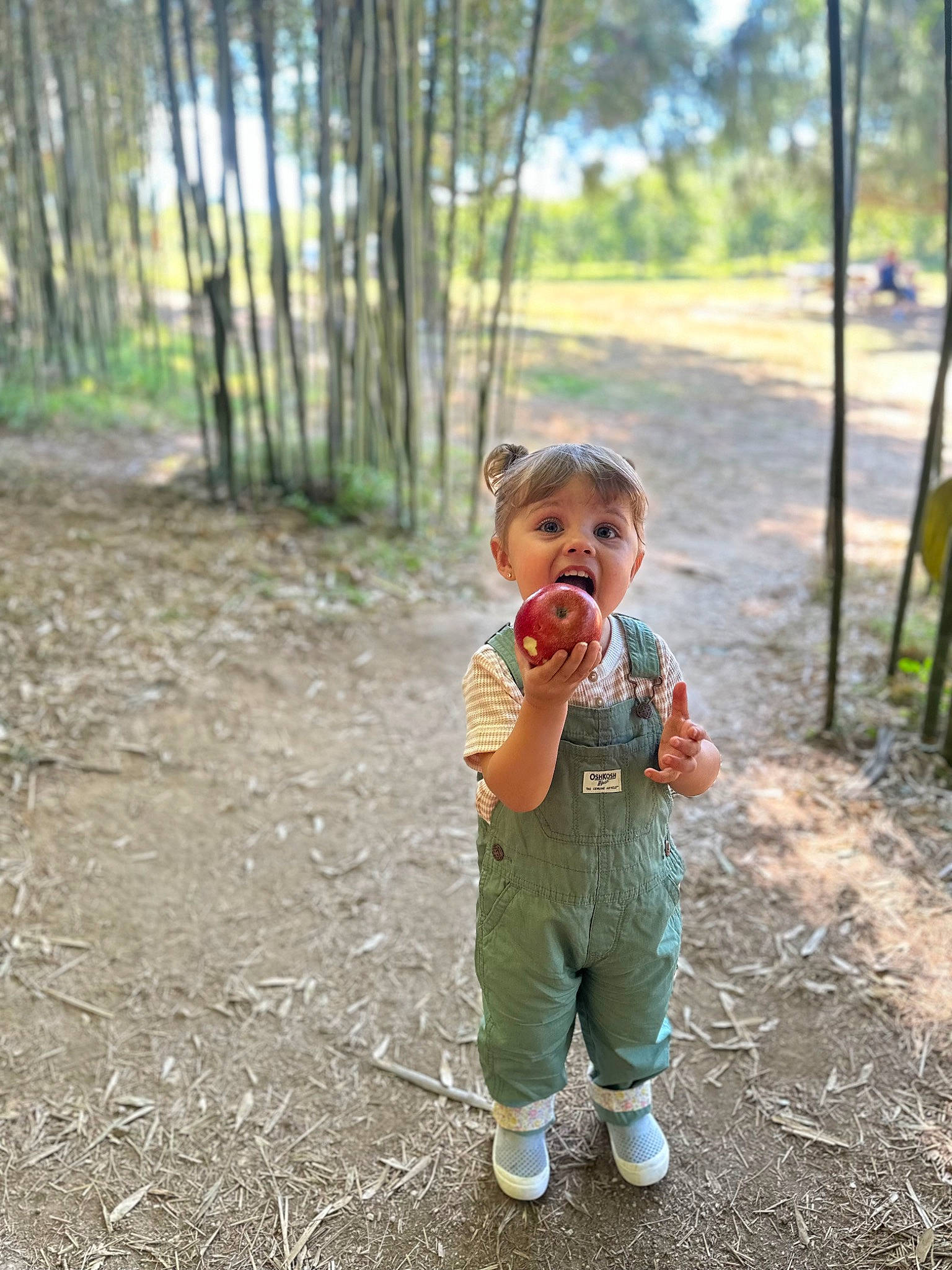 Ayla is registered to the contest to win money with this photo: baby, baby_toddler_clothing, botany, branch, child, eye, forest, fun, grass, happy, leisure, people_in_nature, person, plant, recreation, soil, surprise, toddler, tree, wilderness