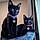 Charlie And Lillabit