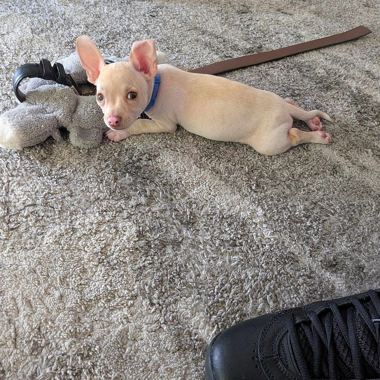 Casper