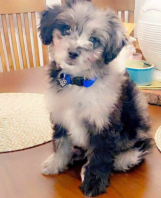 Benito